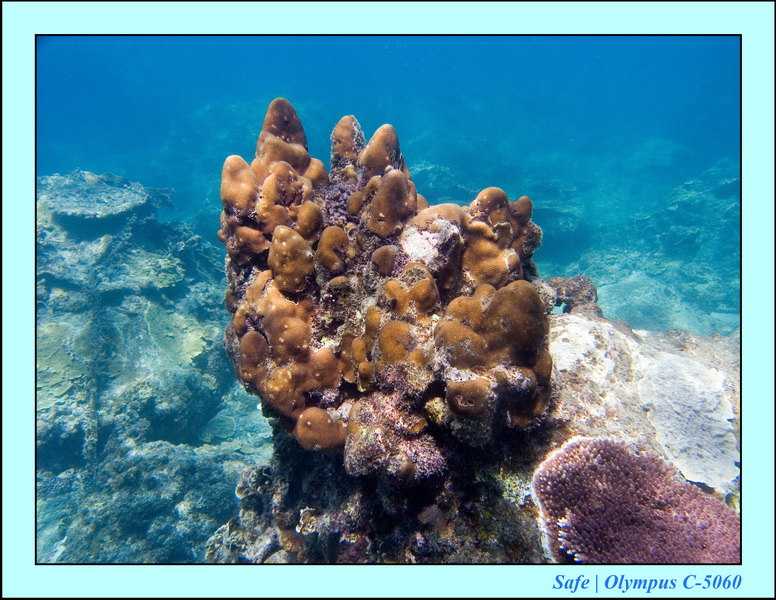 2006 - 07 - Perhentian - Plongee 176